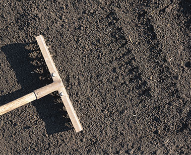 Preparing soil for sod.