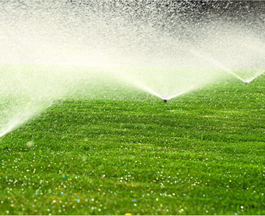 Watering newly laid sod.